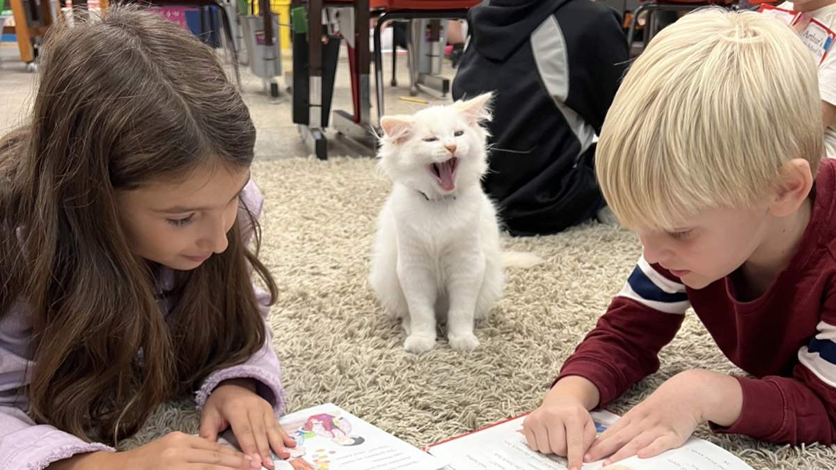 Elementary school feline helps students learn