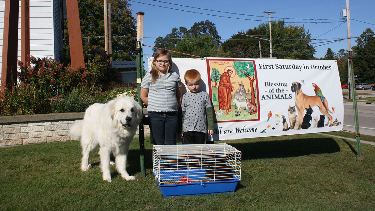 Blessing of animals resumes annual celebration