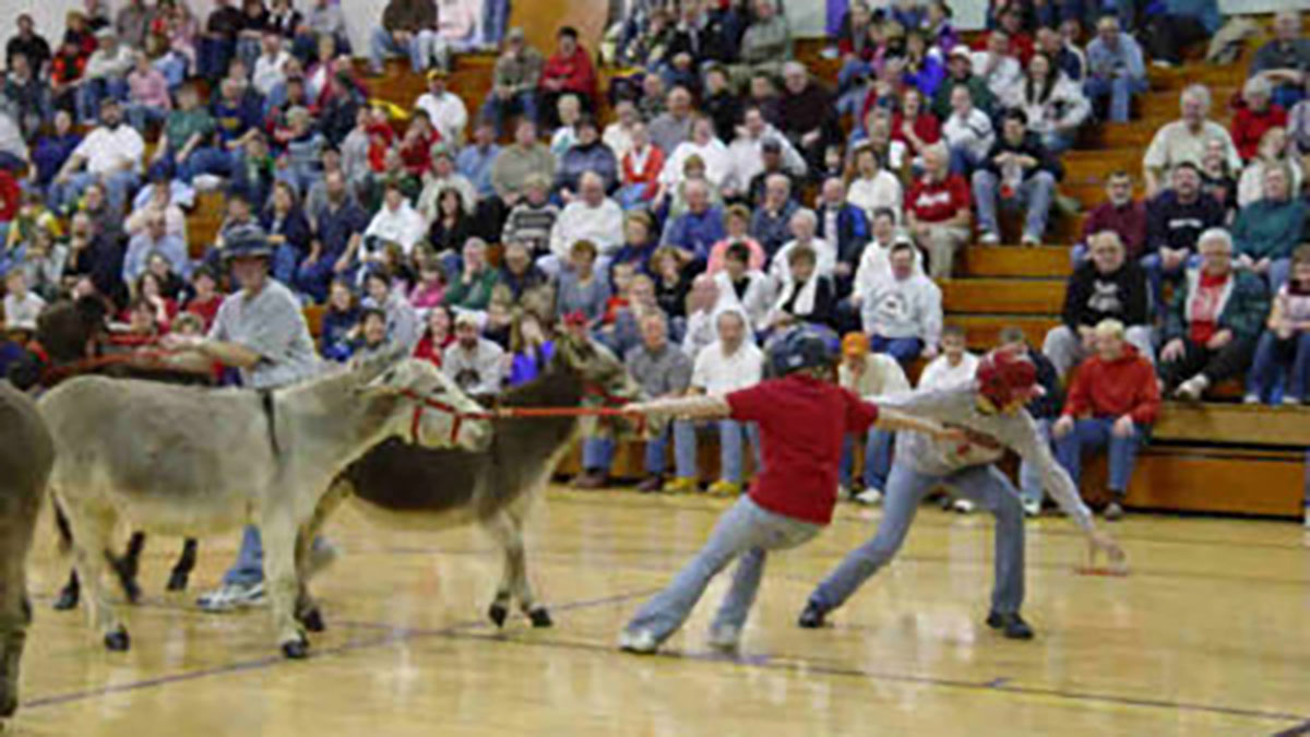 Donkey basketball is coming to Alcona High School